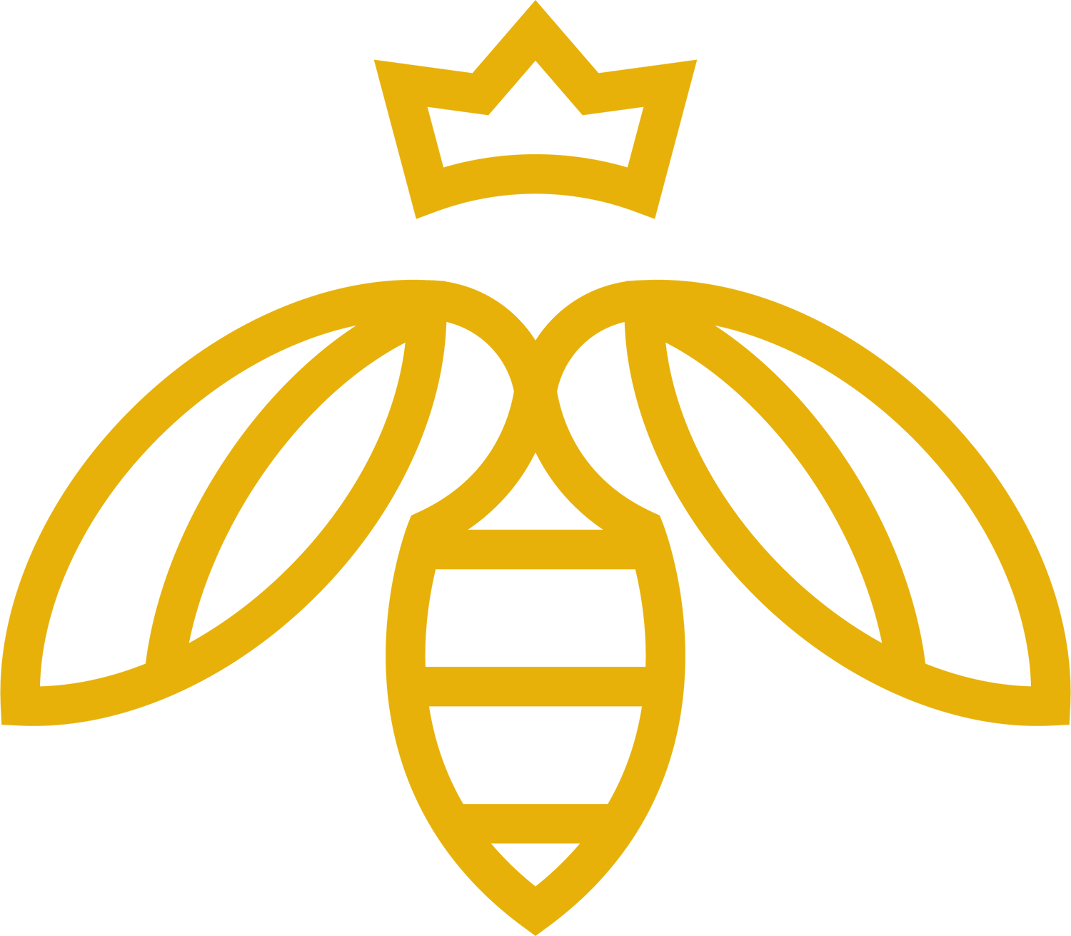 Queen Bee  Accessories